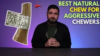 Лучшая натуральная жевательная резинка для тех, кто грызет агрессивно.
