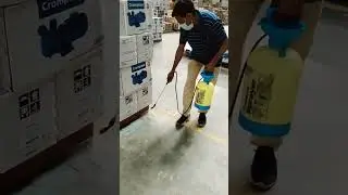 Pest Control Service  Delhi NCR #shorts #pestcontrol #pestcontrolservices #delhi #termitespray