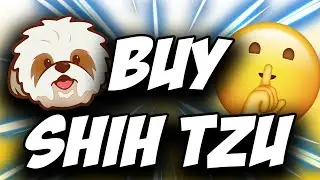 Shih Tzu Coin SHIH Crypto ✅ How to Buy Shih Tzu Crypto SHIH Token on Uniswap