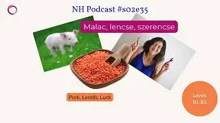 NHP S02E35 (B1-B2) 🐷 Malac, lencse, szerencse (Pork, Lentils, Luck)