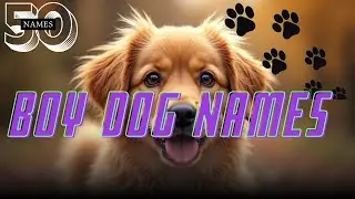 50 Best Boy Dog Names 🐾 | Unique, Cute & Popular Male Puppy Names