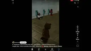 Naughty bear fight a phone with bingo
