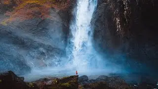 Into the Rainforest | Wet Tropics Australia