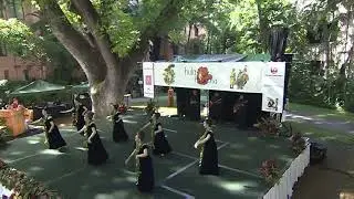 第18回フラ・ホオラウナ・アロハ2019 グループ・クプナ優勝者、Hula Hālau Kauanoemaikalaniのダイジェストです。