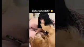 bro knows how to flirt 🤣😂 #funny #familylife #dog #doglove #love #funnyvideo