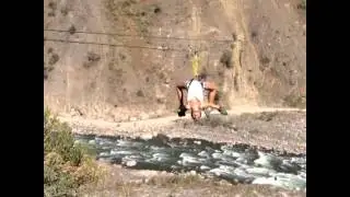 Spider Monkey Zip lining in Peru!