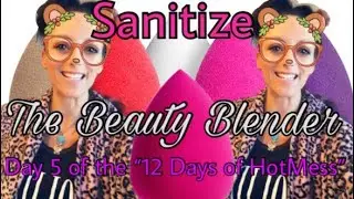 Sanitize The Beauty Blender : Day 5 Of The &ldquo;12 Days Of HotMess &ldquo;