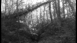 Skowylec - gardens of utopia