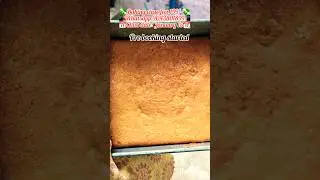 perfect comercial baking class in Tamil #cake #bakingclass #food #shortsfeed #homemade #muttamittai
