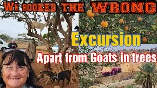 AGADIR EXCURSION / GOATS IN TREES  / MOROCCO FARM VILLAGE LUNCH