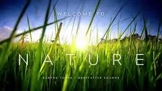 Earth Tones - WIND - Relaxing Meditative Sounds
