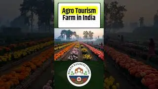 Agro Tourism Farm in India #agrotourismindia #agritourism #agrotourism #agritourismideas