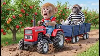 Monkey Mono&rsquo;s Apple Harvest Turns CHAOS &mdash; Thief Falls From a Tree, Smart Move SHOCKS All! 🍎😱