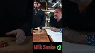 MILK SNAKE - UMA CORAL FALSA #viral #viralvideos #cobra