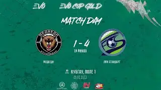 Медведи 1:4 ЛФК Стандарт // EVO CUP 2023