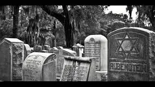 RashoOd Virus - [ REFUGEE - פליט ] - #DISS_TRACK