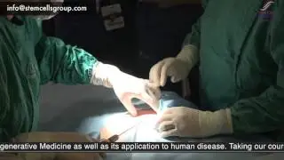 ONLINE STEM CELL TRAINING COURSE