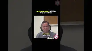 Patrick antonio Best Selection sa bloodlines Breeding