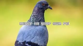 RETURN (OH MY SOUL) LYRICS- JASON UPTON