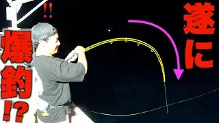 遂に来ました！！真夏の夜の爆釣劇！！【イカメタル】