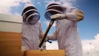 Manuka Doctor Brand Film