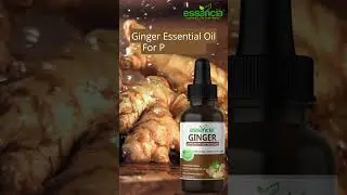 Essancia - Ginger Essential Oil: Skin Vitality, Aromatherapy, Soap Making, Energy Boost.