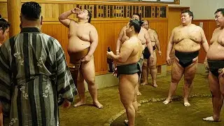 ㊙️ Как сумоисты проводят новогодние праздники