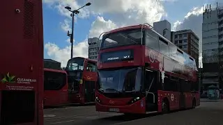 Buses at The Fairfield bus station