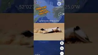 Real crashed plane found On google earth #googlemaps #googleearth