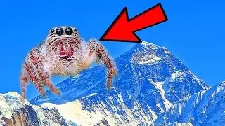 12 Rare Creatures of Nepal
