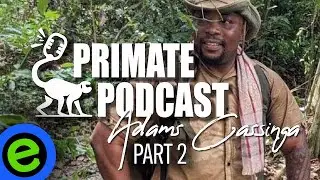 🙈  The Primate Podcast with Adams Cassinga | Part 2 | Wildlife Trafficking!
