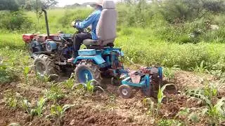 Cultivo de maiz con minitractor 4x4