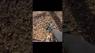 Crashed my drone 😂😂 (again)  #shorts #dronevideo #fail #funny