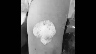 Marbella Tattoo Studio