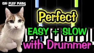 Perfect - Piano Tutorial Easy SLOW [with Drummer] + Free Sheet Music PDF - Ed Sheeran