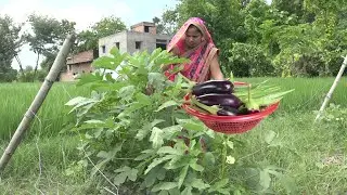 बैंगन भिंडी की सब्जी इस तरह से बनाये तो बड़े तो बड़े बच्चे भी मांग मांग कर खाये Bhindi Baingan Recipe