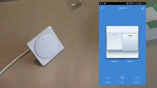 Zemismart 2 gang EU smart wall switch work with google home
