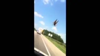 A Bug in the Windshield