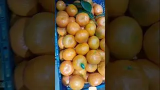 Meyvəli Mərdəkan #azerbaijan #fruit #baki #food #merdekan #tomato #market