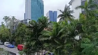 Mga Tropical Plants sa Gitna ng Modern City/Urban Landscaping Tour