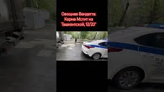 Овощная Вендетта: Карма Мстит на Ташкентской, 12/20