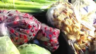 Hatch Soup V: Sprout Up! Community Market