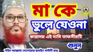 জনম দোখী মায়ের ওয়াজ ৷ Maulana Delwar Hussain Saidi ৷ মাওলানা দেলোয়ার হুসাইন সাঈদী #সাঈদীওয়াজ #waz