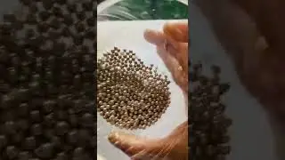 Silver Sprinkles #shorts #asmr #satisfying #sprinkles