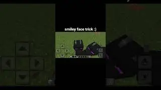 Minecraft Smiley Face Moment