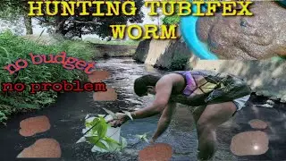 hunting tubifex worm | MACRO Tv MOTTO