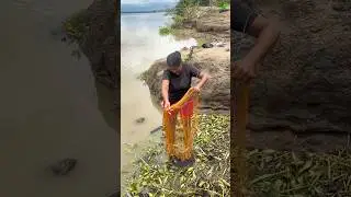 Girl Catching fish with a small net |#shorts