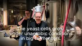 Alcohol Dehydrogenase