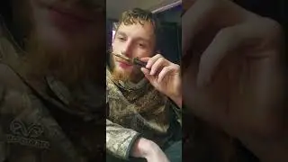 New White Owl Blunt