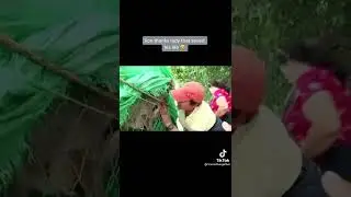 #humanityforward#loveanimals